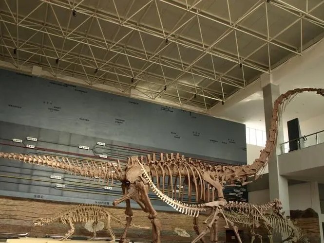 今天走进辽宁省凌源市博物馆馆藏元代瓷器