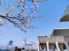 -龙美术馆(西岸馆)