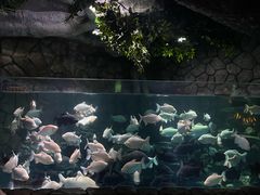 -多彩贵州城极地海洋世界
