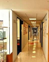 -杭州贝瑞斯美华妇儿医院·早孕·产检·儿科