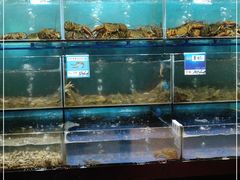 水产区-南海渔家•海鲜•正宗海南菜(海棠湾店)
