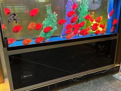 -臻享养生·SPA·影院式足道(汇臻店)