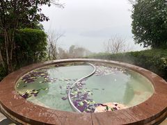 -天目湖涵田半山温泉