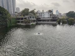 -荔湾湖公园