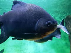 -常州海昌海洋探索馆