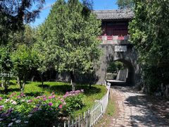 -云岗森林公园