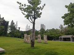 -四海公园(南山区)