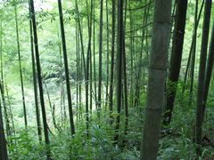 -井冈山风景名胜区