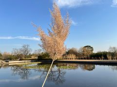 -苏州太湖国家湿地公园