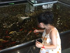 -上海怡沁园度假酒店