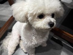 -满记甜品(南京虹悦城三店)