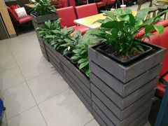 -汉堡王(财富广场店)