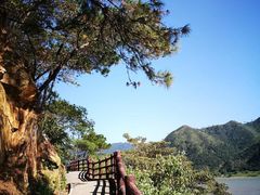 -羚羊峡古栈道森林公园