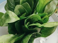 小菠菜-王家渡火锅店(棕榈泉店)