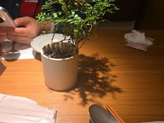 -CURRY YA 熟成咖哩專門店(深圳湾万象城店)