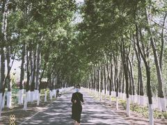 -东郊湿地公园