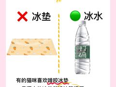 -守诺宠物医院·眼科· 特色牙科·异宠专科(虹口店)