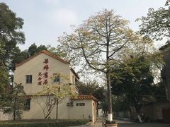 -伦教678文化街