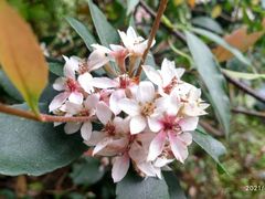 -火炉山森林公园