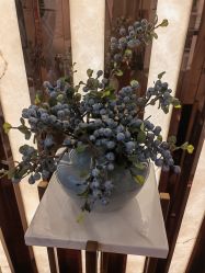 -茜尔维亚修身连锁(闵行莘庄店)