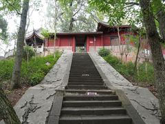 -子昂故里文化旅游区