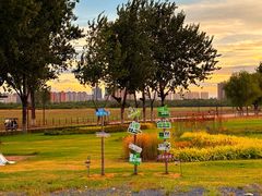 -汉长安城未央宫国家考古遗址公园