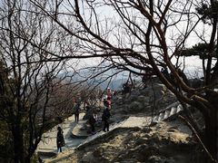 -香山公园