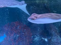 -沈阳海洋探索中心