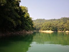 -广州市流溪河国家森林公园