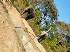 -清迈夜间动物园