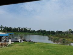 -空港花田景区