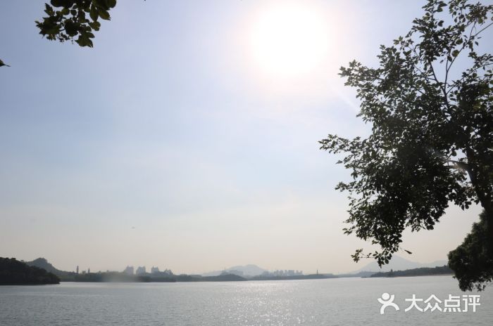 松山湖南湖湾露营营地图片