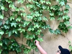 -熙古里艺术村