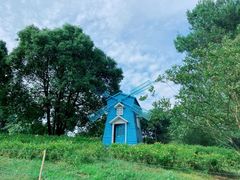 -铁山坪森林公园