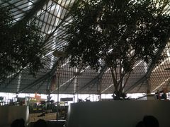 -上海南站