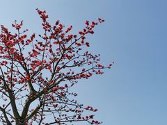 -露天矿生态公园