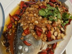 -杨氏青龙虾·羊蝎子(托乐嘉店)