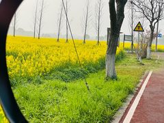 -西京湾花海
