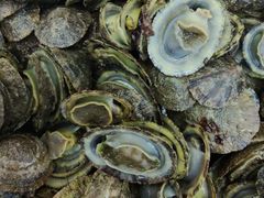 -合家小菜餐馆(新诚花苑店)