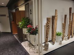 -羲和雅苑•北京烤鸭(国贸商城店)