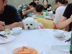 -丰收渔港饭店(嵊泗店)