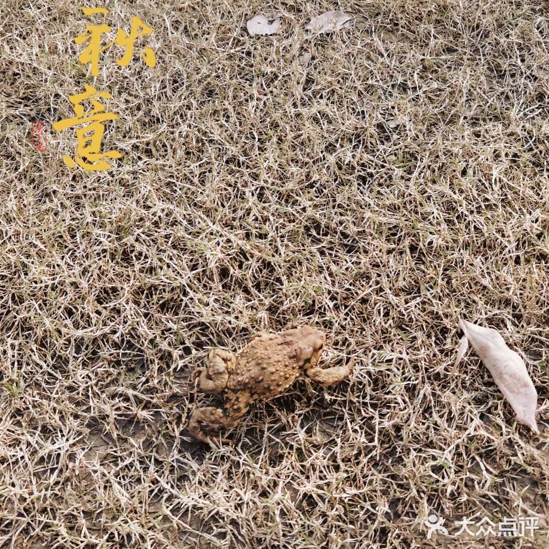 和秋天的约会，抓住秋天的尾巴[胜利]