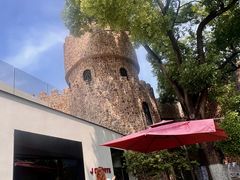 -J Create城市露营咖啡·简餐·宠物(上海动物园店)