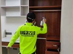 -绿色亿家除甲醛机构