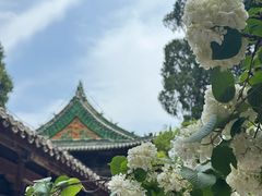 -报恩寺(平武县)