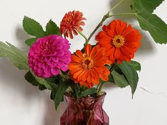 -荷兰布尔玛国际花艺学院