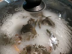 -九万士多港式海鲜粥底火锅(回龙观店)