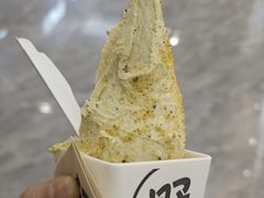 -野人先生现做冰淇淋(西安赛格店)