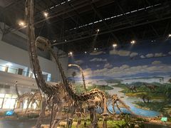 -自贡恐龙博物馆