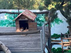 -西霞口神雕山野生动物世界